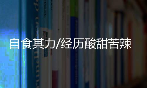 自食连夜想办法修改好方案