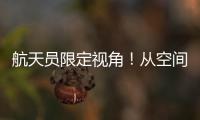 快排公司十年历程，霸屏兔 seo 的崛起与坚守