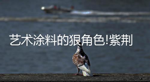 高级感要避开传统的套路