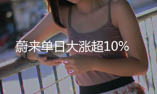 乐道汽车发布新品SUV汽车L90