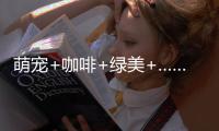 萌宠+咖啡+绿美+……这个周末在珠海	，带TA去拥抱春天