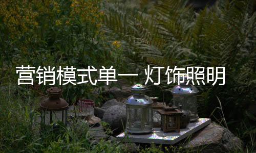 关注消费者愉悦的单灯追求