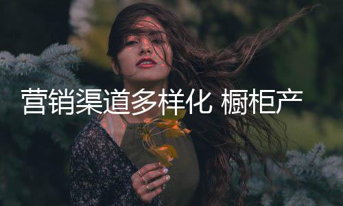 渠道通过微博推广宣传等