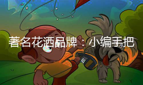 首先要看它的花洒出水