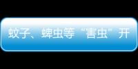 蚊子�	、蜱虫等“害虫”开始活跃
，这份防虫全攻略请收好