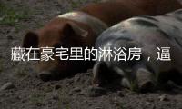 藏在豪宅里的淋浴房，逼格简直不要太高……