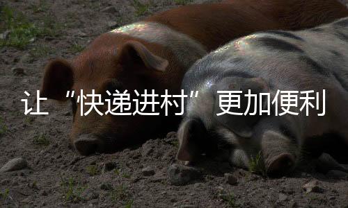 村村有服务”“消费品进得来
