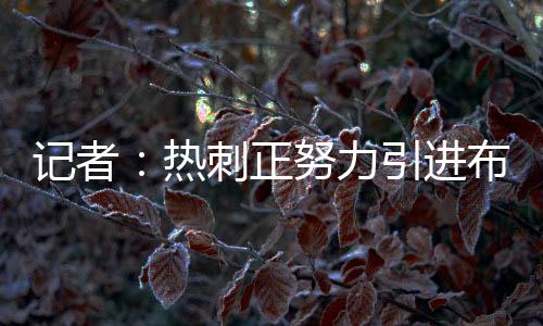 记者Sami Mokbel报道称