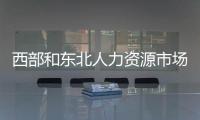 西部和东北人力资源市场建设援助启动