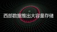 快排公司十年历程，霸屏兔 seo 的崛起与坚守