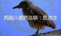 西藏八宿然乌镇：旅游主线带动产业协调发展