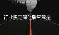 快排公司十年历程，霸屏兔 seo 的崛起与坚守