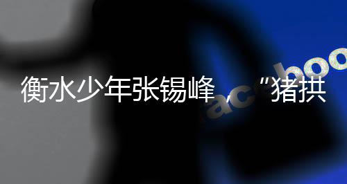 猪拱白菜因为需要学英语