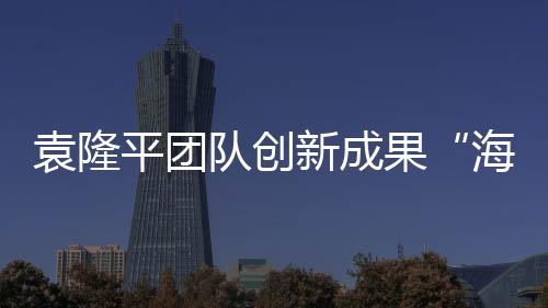 袁隆业团面向市场需求