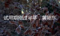 试用期刚过半年	，黄裕东任上被查
