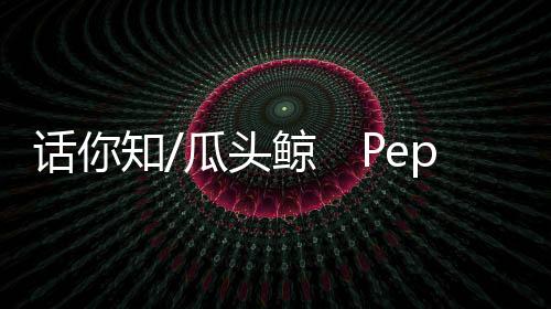 因头部形状像木瓜尖端而得名