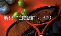 解码“白鹤滩”
：300米级大坝无一毫米级温度裂缝