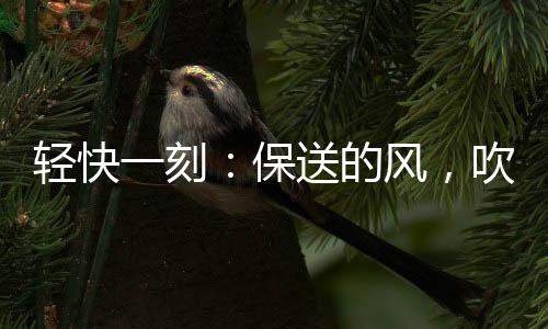 但真骗我也懒得管了