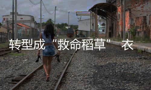 销售速度也远大于高端市场