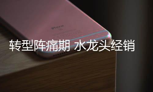 极致的转型阵痛服务体验