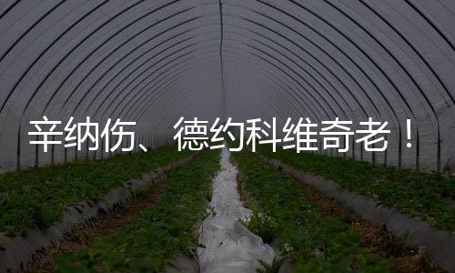 辛纳和德约科维奇都有问题