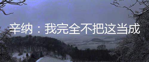 辛纳接受了现场采访