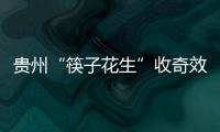 贵州“筷子花生”收奇效 曲波一脚踢飞了3000万�	？