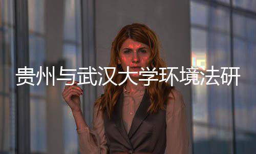 贵州久久999