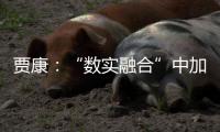 贾康	：“数实融合”中加速现代化产业体系构建升级