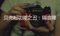 贝壳粉功能之五
：隔音降噪
