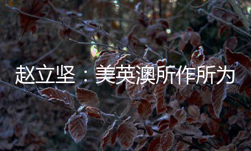 赵立证明中方赞同俄方看法
