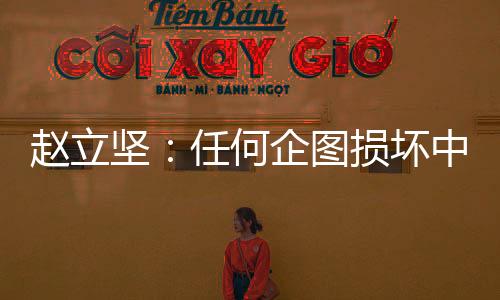 赵立他还就涉疆、坚任