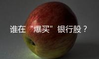谁在“爆买”银行股？
