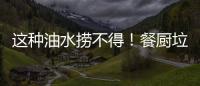这种油水捞不得	！餐厨垃圾的正确处理方式