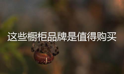 广东、购买皮阿诺PIANO