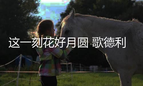刻花歌德利智能门窗