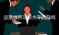 这是世界顶级水平的马戏表演
，横琴长隆举行世界马戏日庆典活动