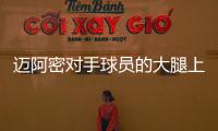 快排公司十年历程，霸屏兔 seo 的崛起与坚守
