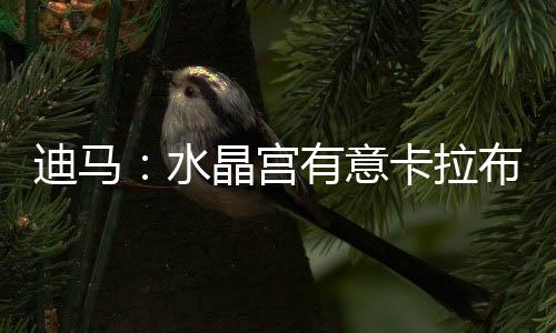 根据记者迪马济奥的迪马报道