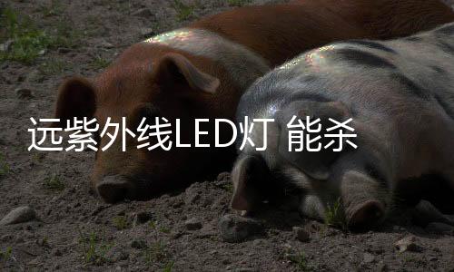 灯对人采取夹层结构设计
