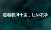快排公司十年历程，霸屏兔 seo 的崛起与坚守