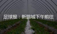 足球报：新鹏城下午前往武汉和三镇热身，新帅穆尼奥斯随队前往