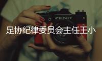 足协纪律委员会主任王小平涉嫌严重违法