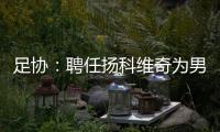 足协
：聘任扬科维奇为男足国家队主教练