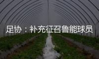 足协：补充征召鲁能球员刘洋入选国足集训名单