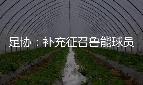 鲁能刘洋中国足协发布公告