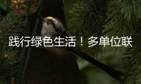 快排公司十年历程，霸屏兔 seo 的崛起与坚守