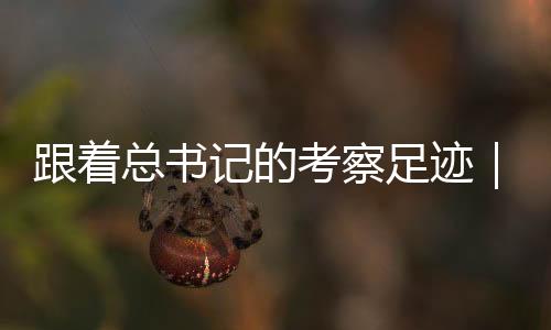总书足迹占比达九成