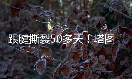 跟腱随后接受了手术