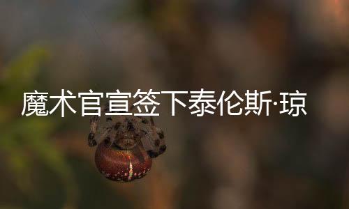 魔术因此魔术触发硬帽